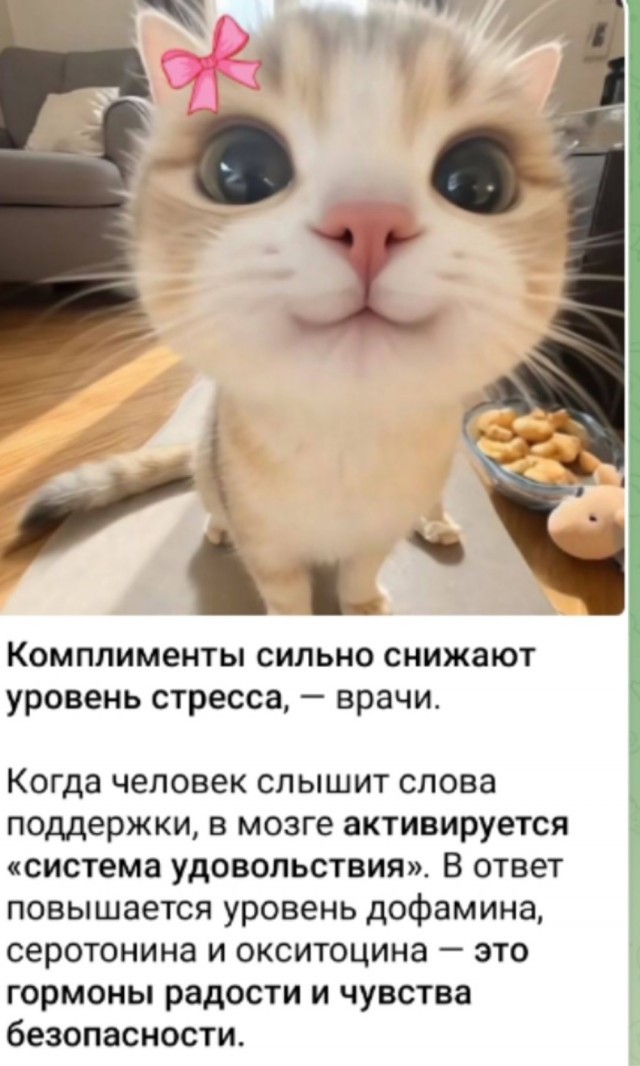 К котовторнику: подборка картинок-баянов с котиками и про котиков. Выпуск 37.