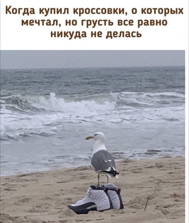 Картинки для деградации 299 (разной степени свежести)