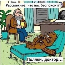 Жители польской деревни вызвали полицию и спасателей из-за "чёрного человека" в подвале