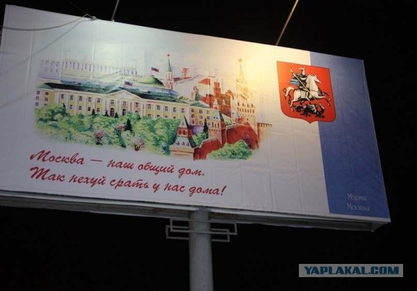 Лютая социалка