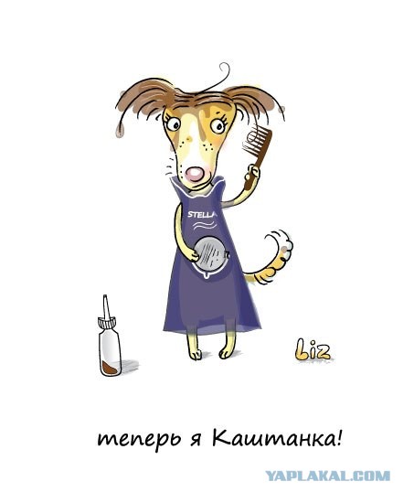 мои персонажи