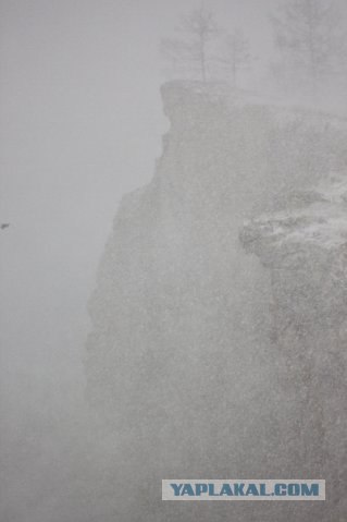 Весна временно отменяется