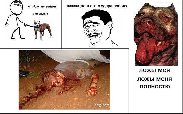 Они не кусаются...