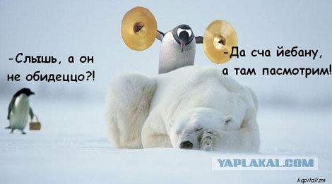 Весёлые картинки. Разбавим будни