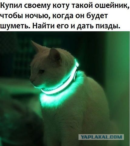 Удар ниже пояса