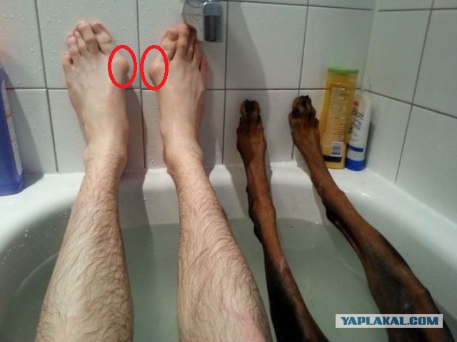 Позитивные картинки