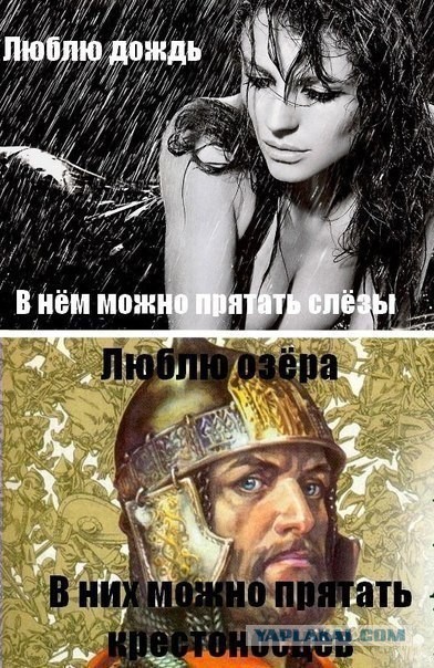 Смешные картинки с подписями 2