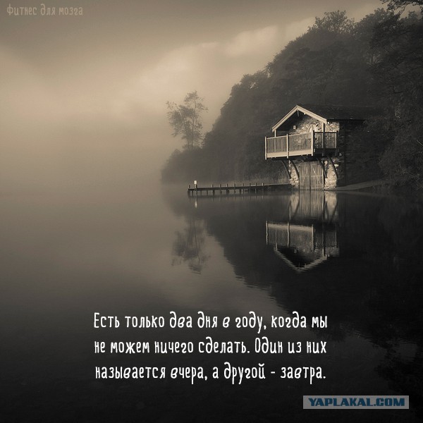Немного позитива на пятницу