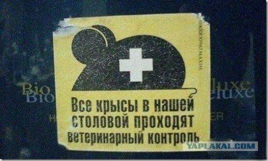 Немного позитива на пятницу