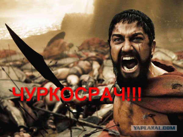 3в1 или просто зае*ло