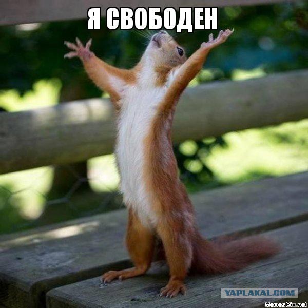 День независимости от тебя, любимая.