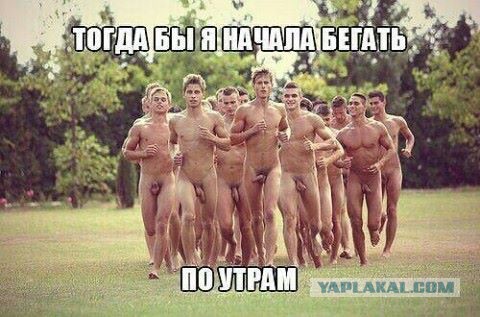 Юмор ниже пояса