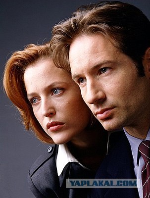 Самые известные копы голливудских фильмов