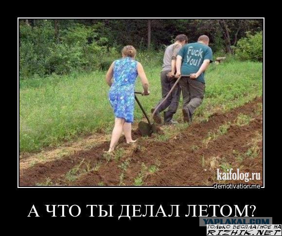 Смешные комментарии 02.08.2015