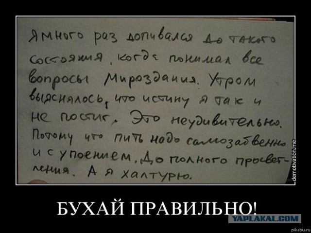 Картинки и гифки.