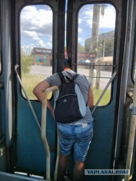 Фотографии, сделанные в нужный момент