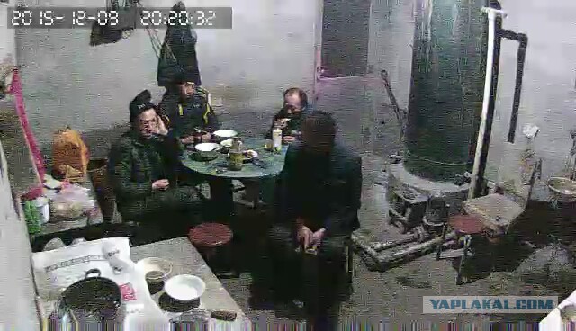 За что я люблю китайцев