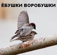 Какое же?