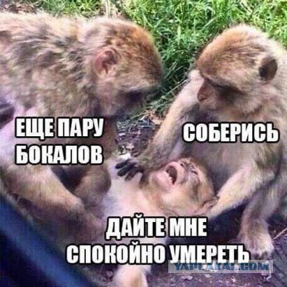 1 января глазами трезвого человека