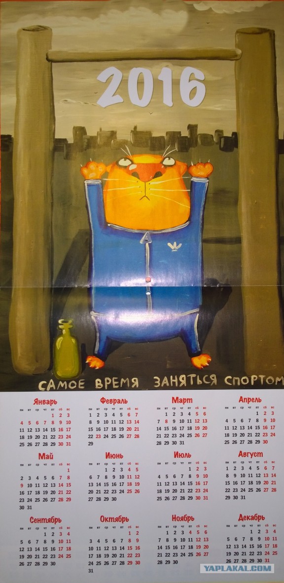 Котолендарь на 2016 год