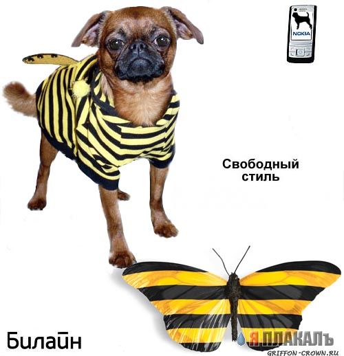 МОБИЛЬНАЯ СВЯЗЬ. Операторы, провайдеры