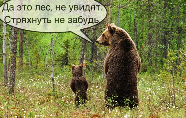 Россия