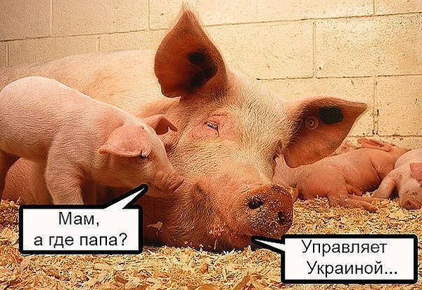 Пост о жизни из Украины