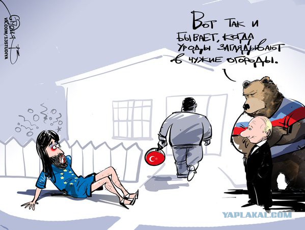 Карикатуры от Студии 13