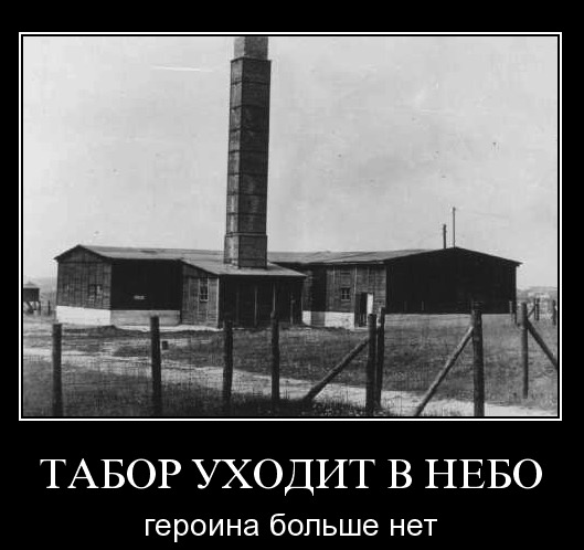 «Нам бог велел, чтобы мы обманывали»
