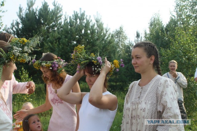 Жизнь на природе с нуля или как становятся самообеспеченными