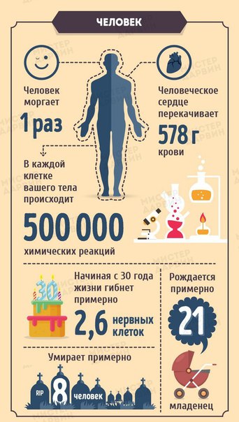 Комментарии и картинки из соцсетей
