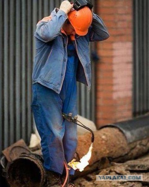 Картинки всякие для поднятия настроения