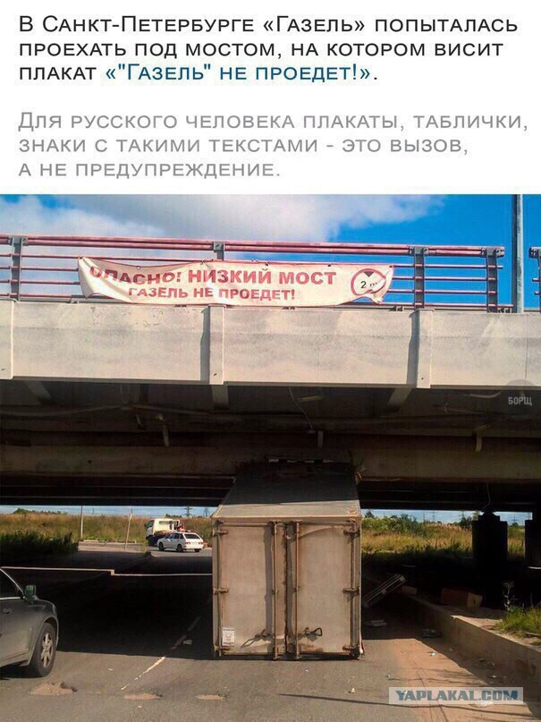 Картинки из интернета