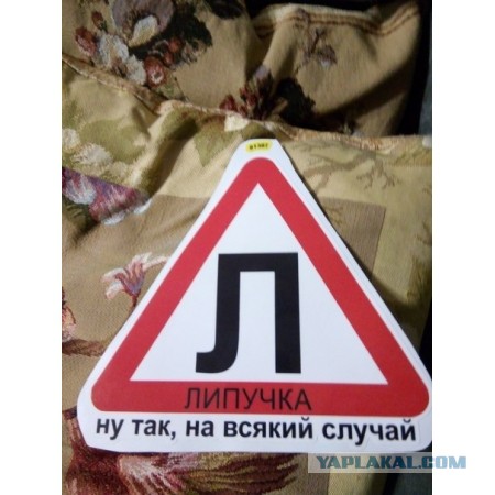 Все "Ш"ипы нацепили?
