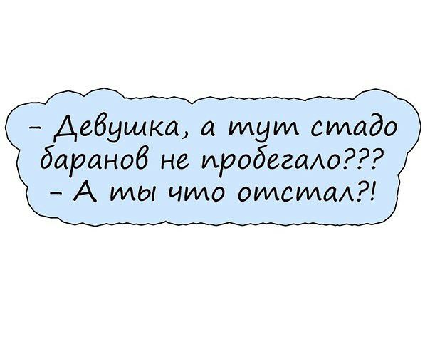 Смешные комментарии из социальных сетей 08.12.2017
