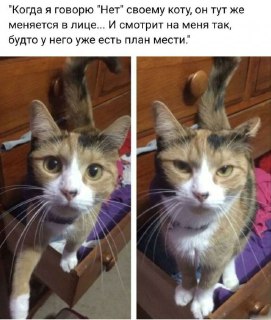 Картинки с надписями для настроения