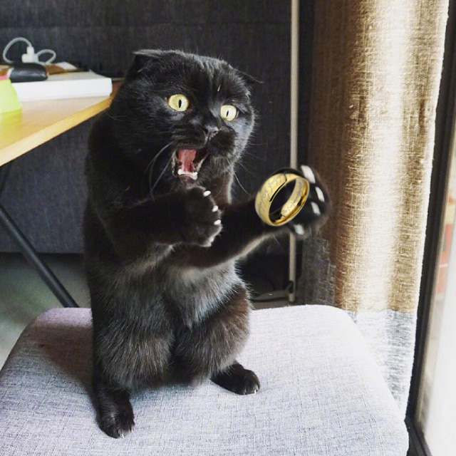 Воооот такую мышь вчера поймал!