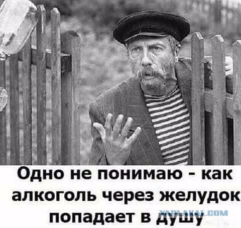 Как бросить пить?