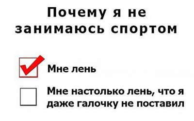Они отточили свои навыки в лени до совершенства.
