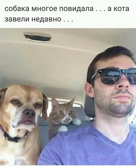 Немного картинок на вечер пятницы