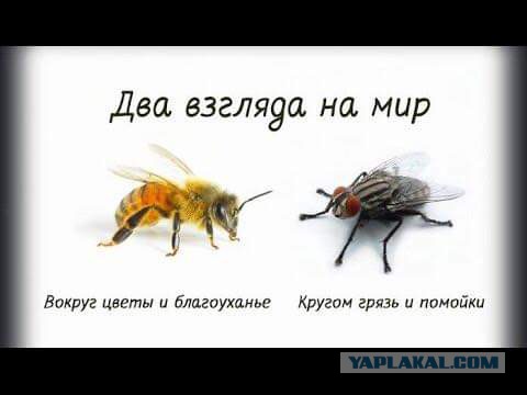 Еврейское гетто в Иерусалиме