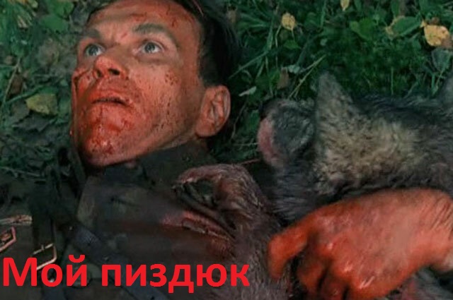 В Крыму бывший десантник голыми руками задушил волка!