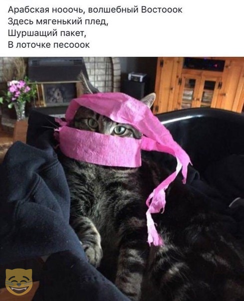 Немного картинок с надписями и без - 26