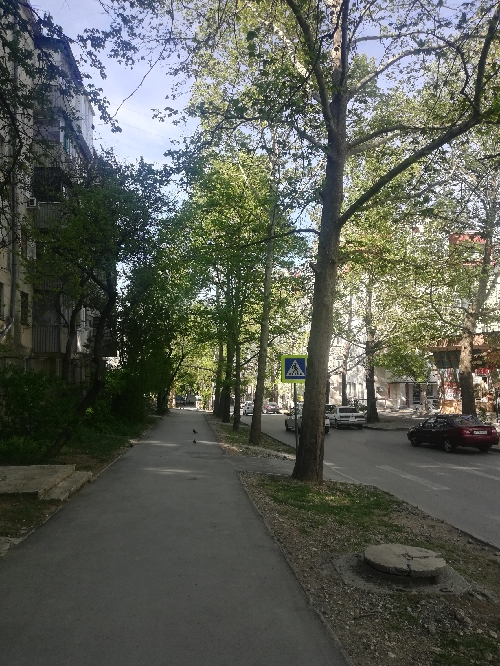 Откровение плохого папы