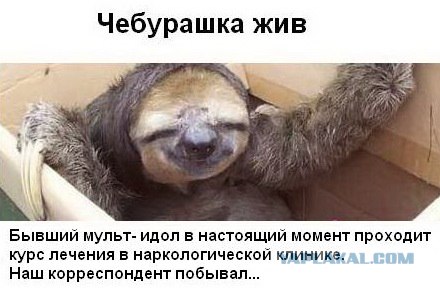 Фотожаба: Желтая пресса