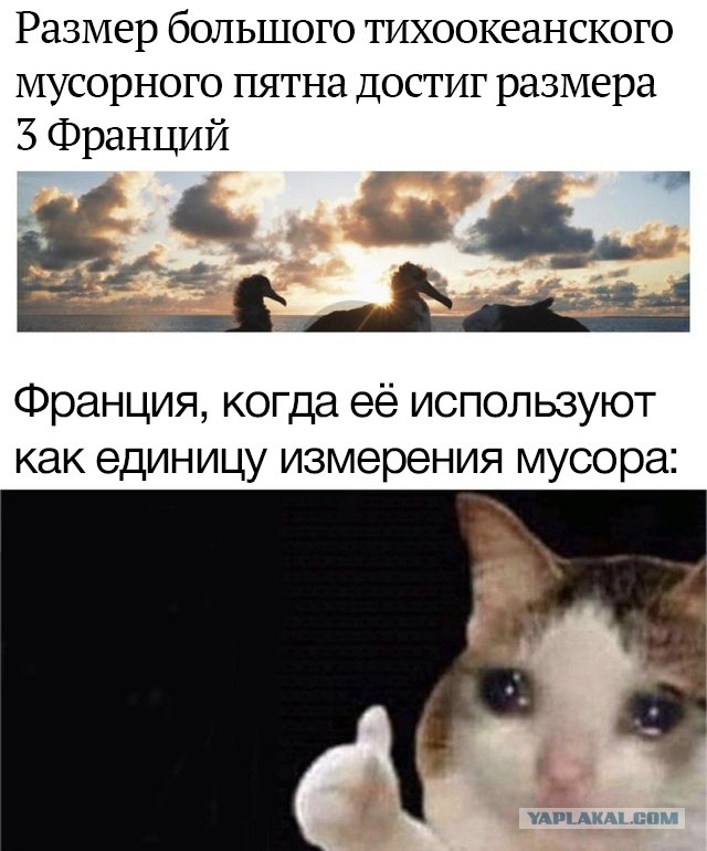Бредзона 21.08.2020