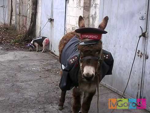Передумал