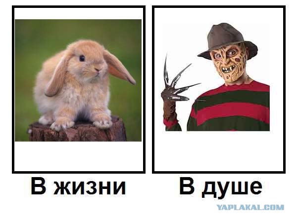 Кто есть кто?