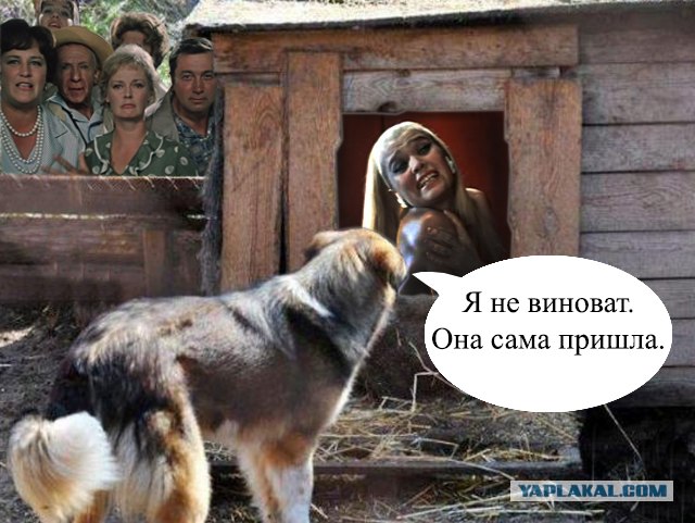 Фотожаба: Собака с Девушкой