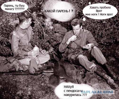 Таксидермия + наркомания